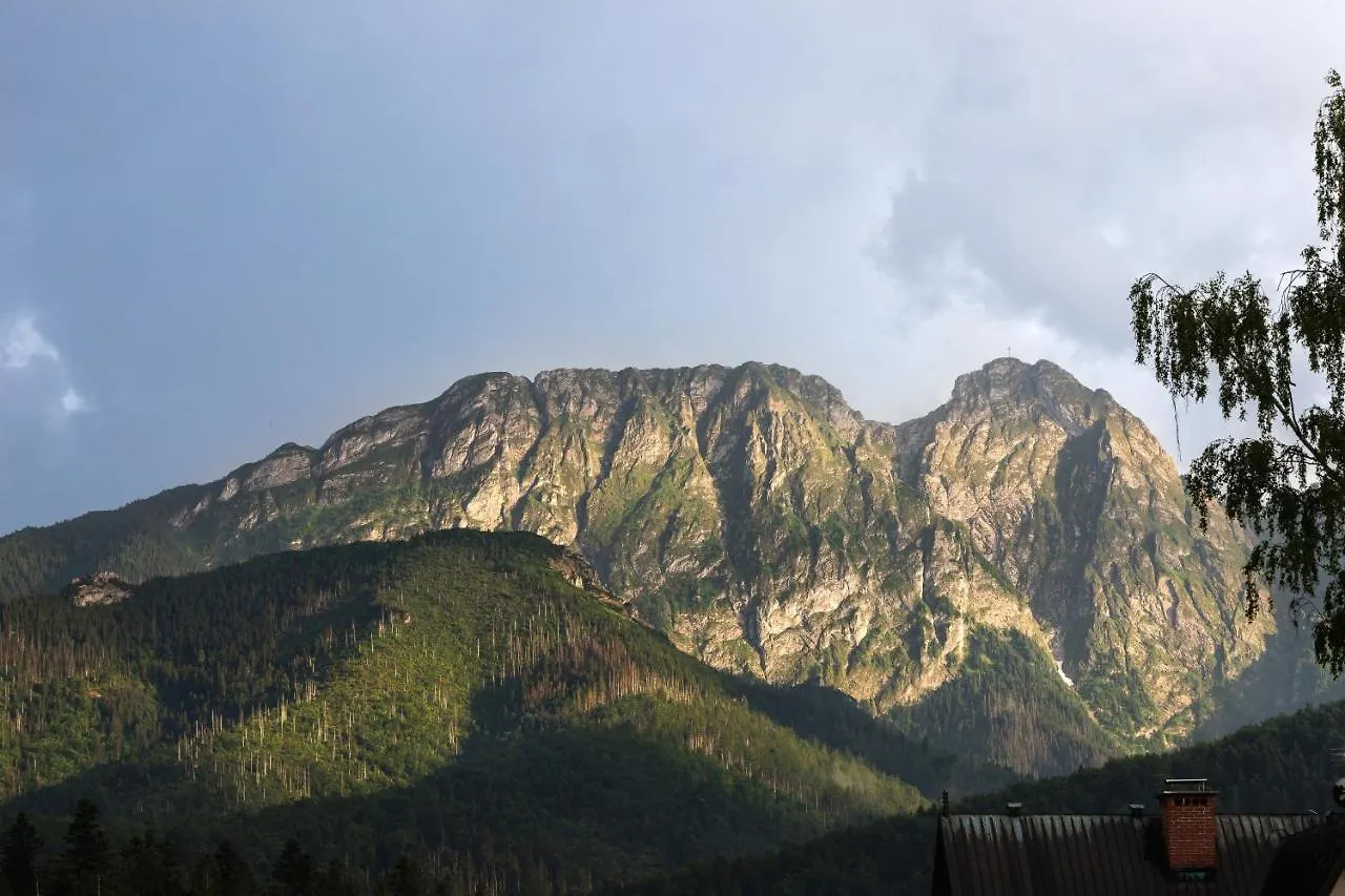 Apartment Wojciecha Brzegi Zakopane By Noclegi Renters
